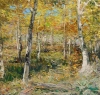 Aspen Fall