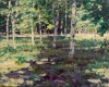 Aspen Grove