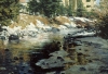 Gore Creek