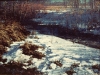Last Snow