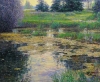 Summer Pond