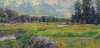 Summer, Grand Tetons