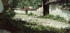 Village Stroll