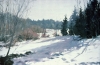Winter Study
