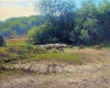 Mid Summer Day