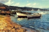 Sozopol Fishing Boats