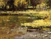 Autumn Pond