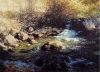 Chicago Creek, Colorado
