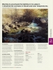 International Artist Publishing